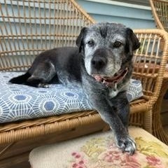 Winnie