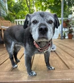 Winnie