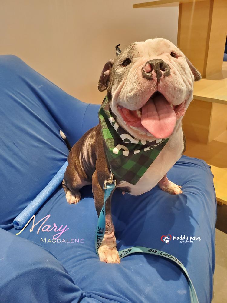 Mary Magdalene — thumbnail 2