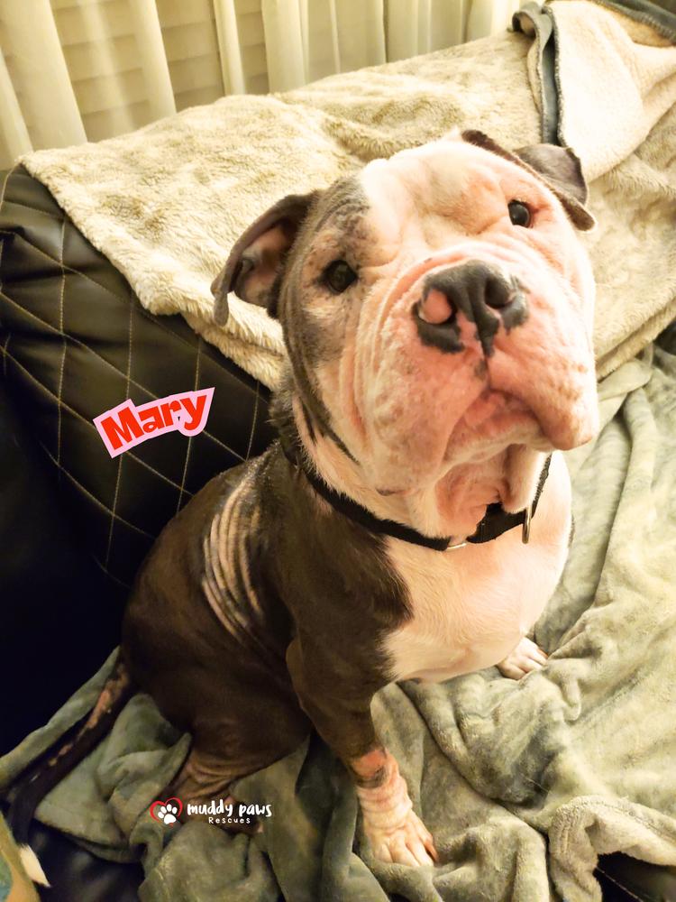 Mary Magdalene — thumbnail 3