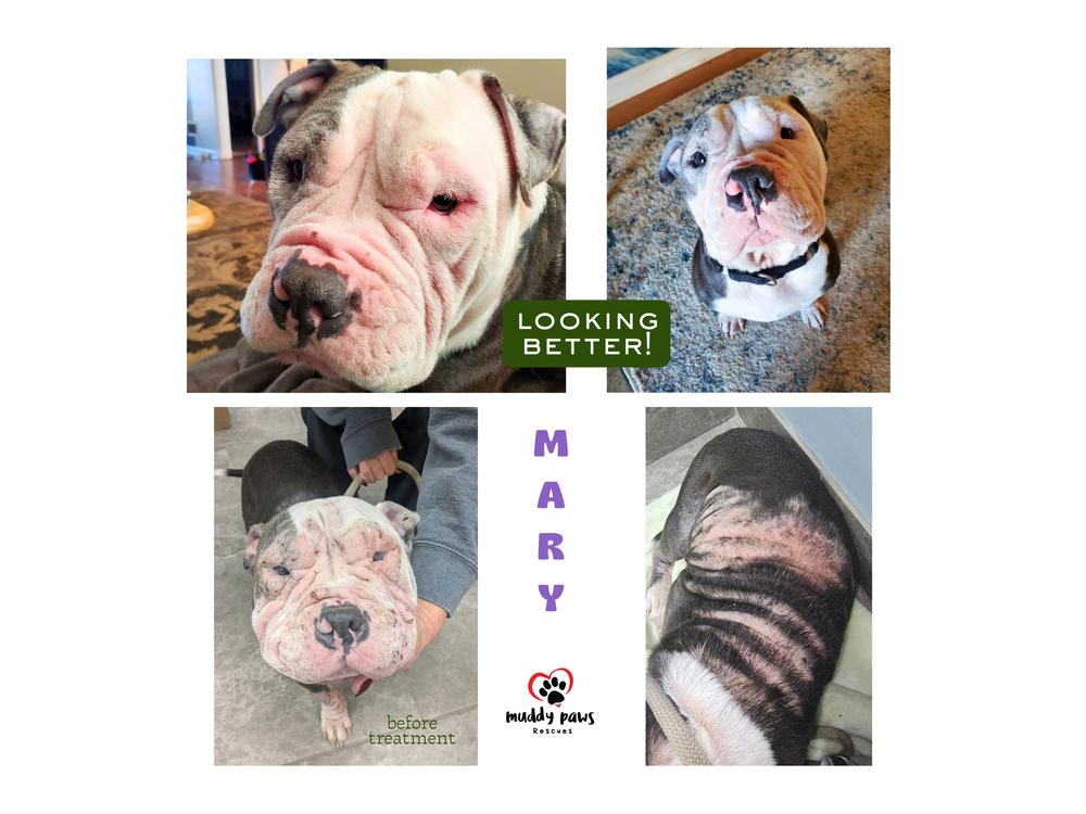 Mary Magdalene — thumbnail 4