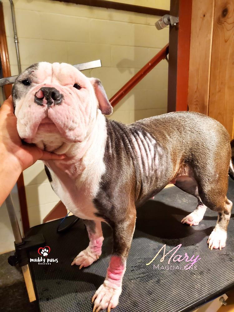 Mary Magdalene — thumbnail 5