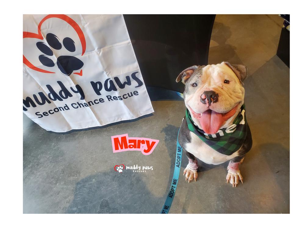 Mary Magdalene — thumbnail 6