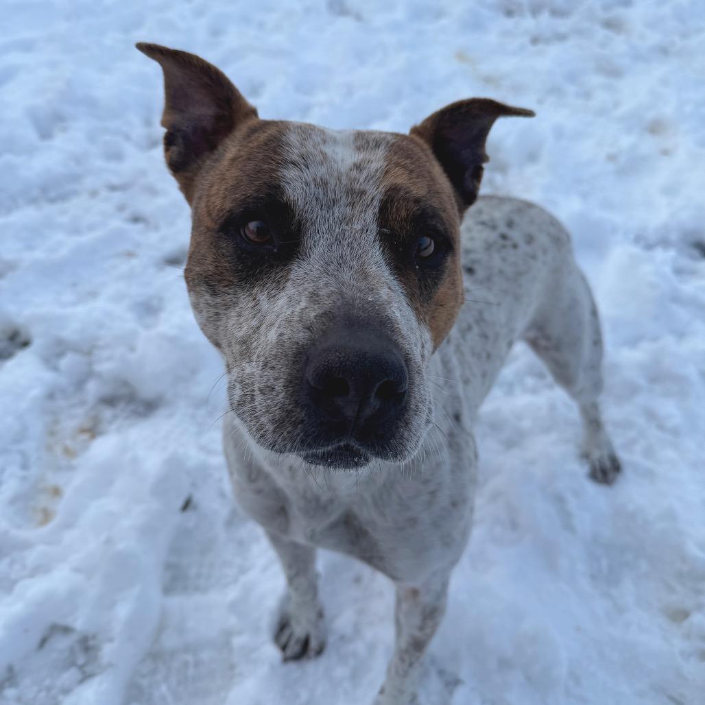 Happy — thumbnail 2