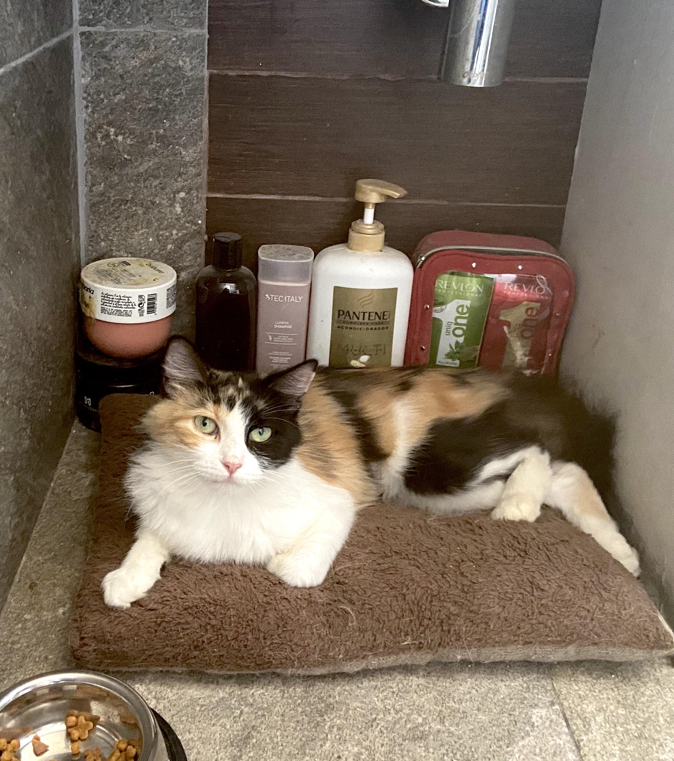 Bella(17) — thumbnail 3