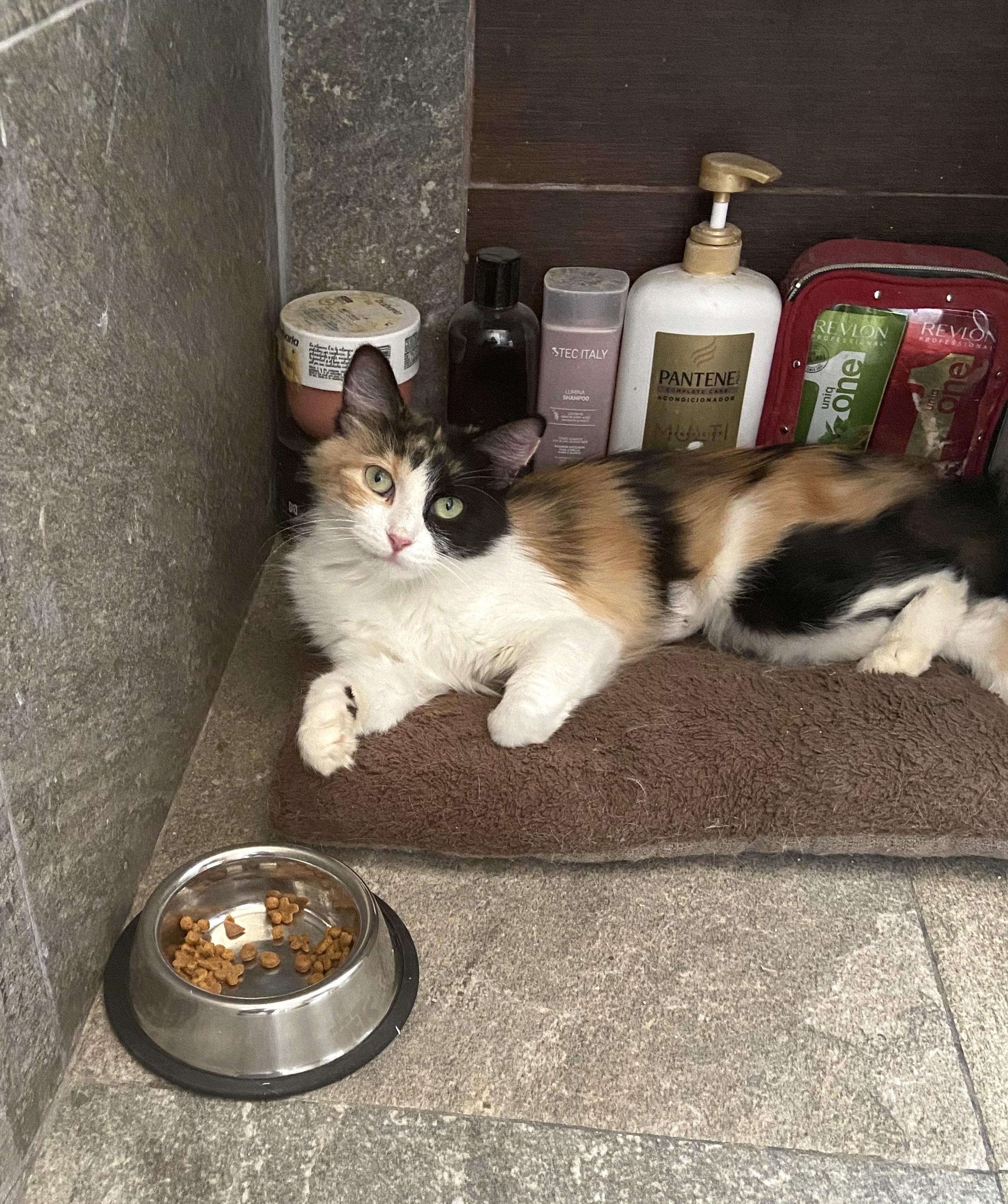 Bella(17) — thumbnail 4