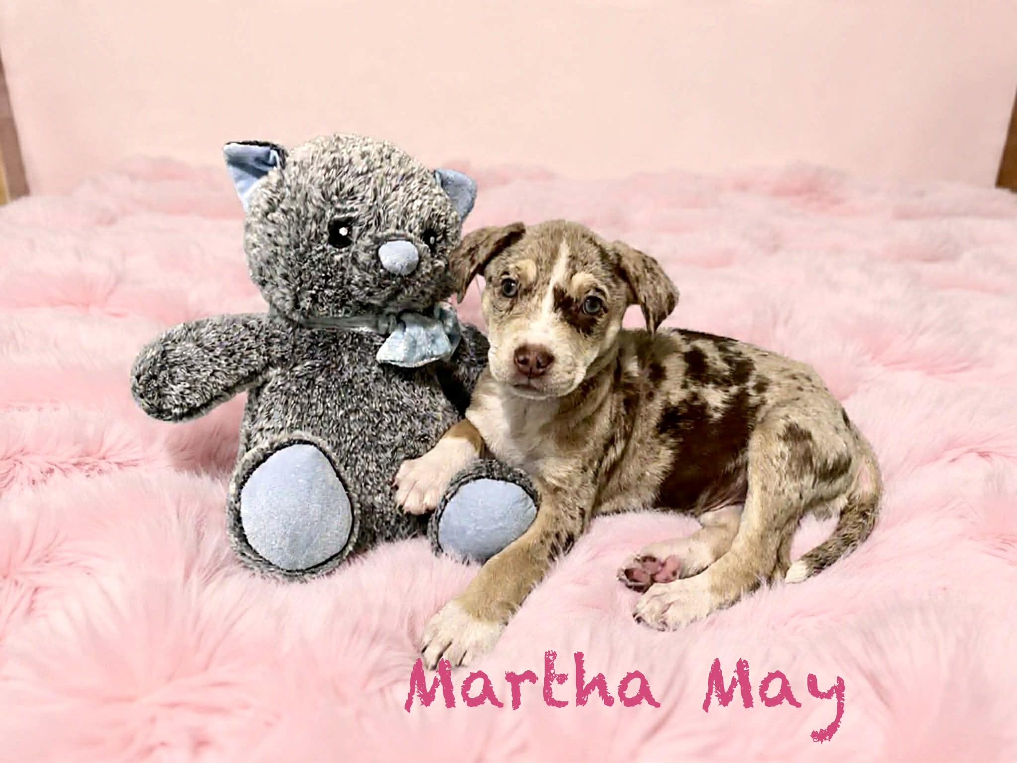 Martha May thumbnail 2