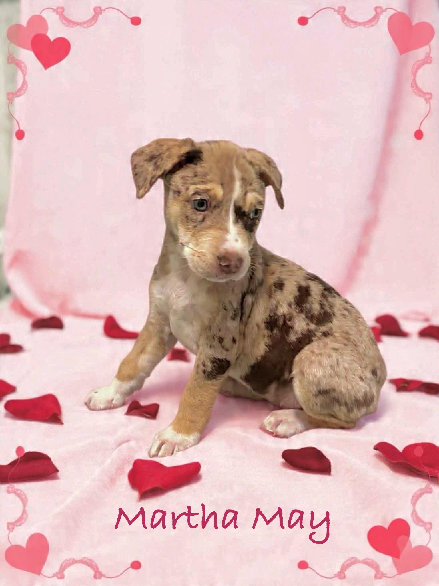 Martha May thumbnail 3