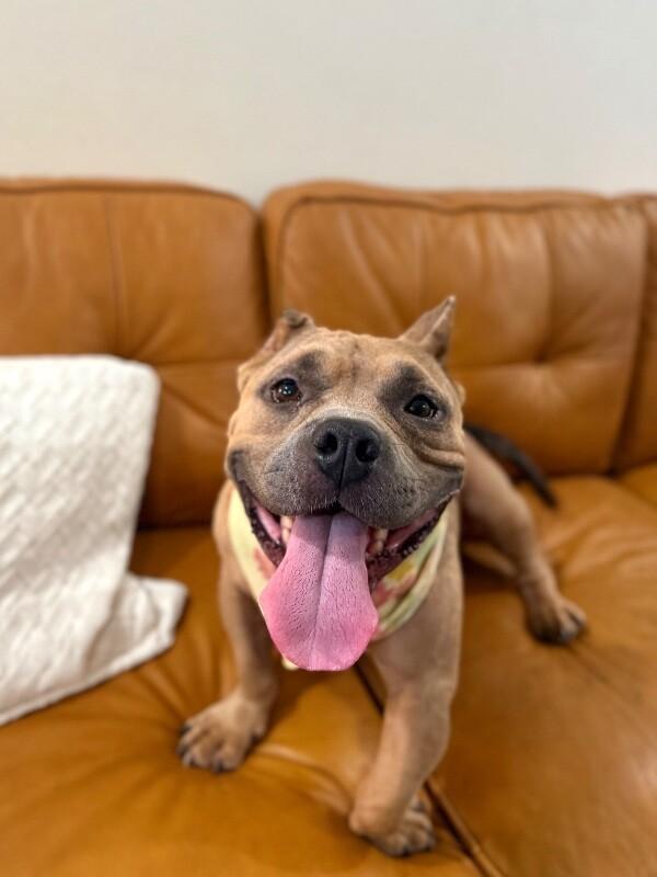 Peggy Hill — thumbnail 2