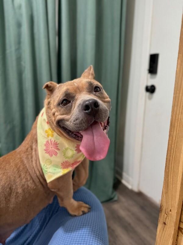 Peggy Hill — thumbnail 5