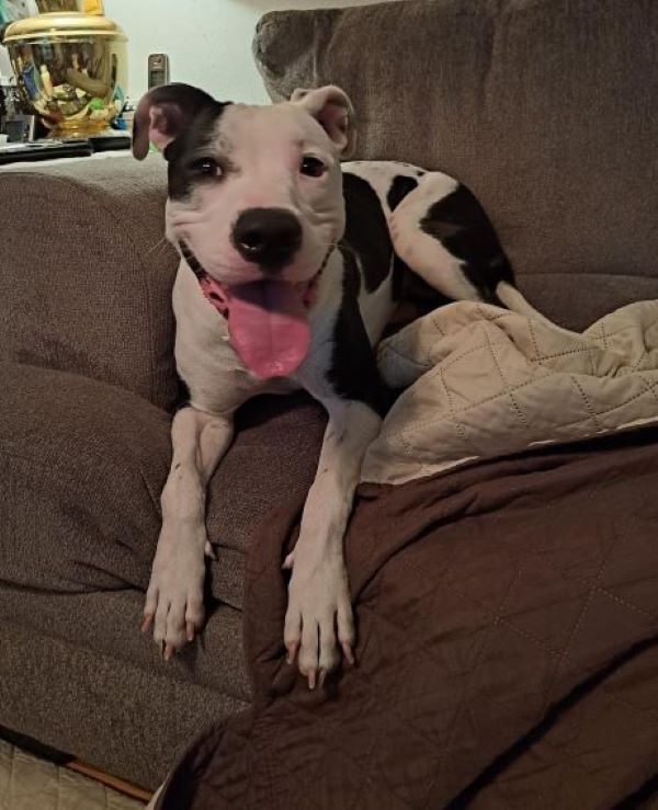 Peaches photo 5