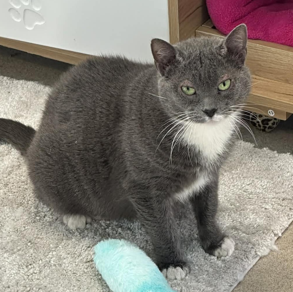 5-223 Mittens — thumbnail 3