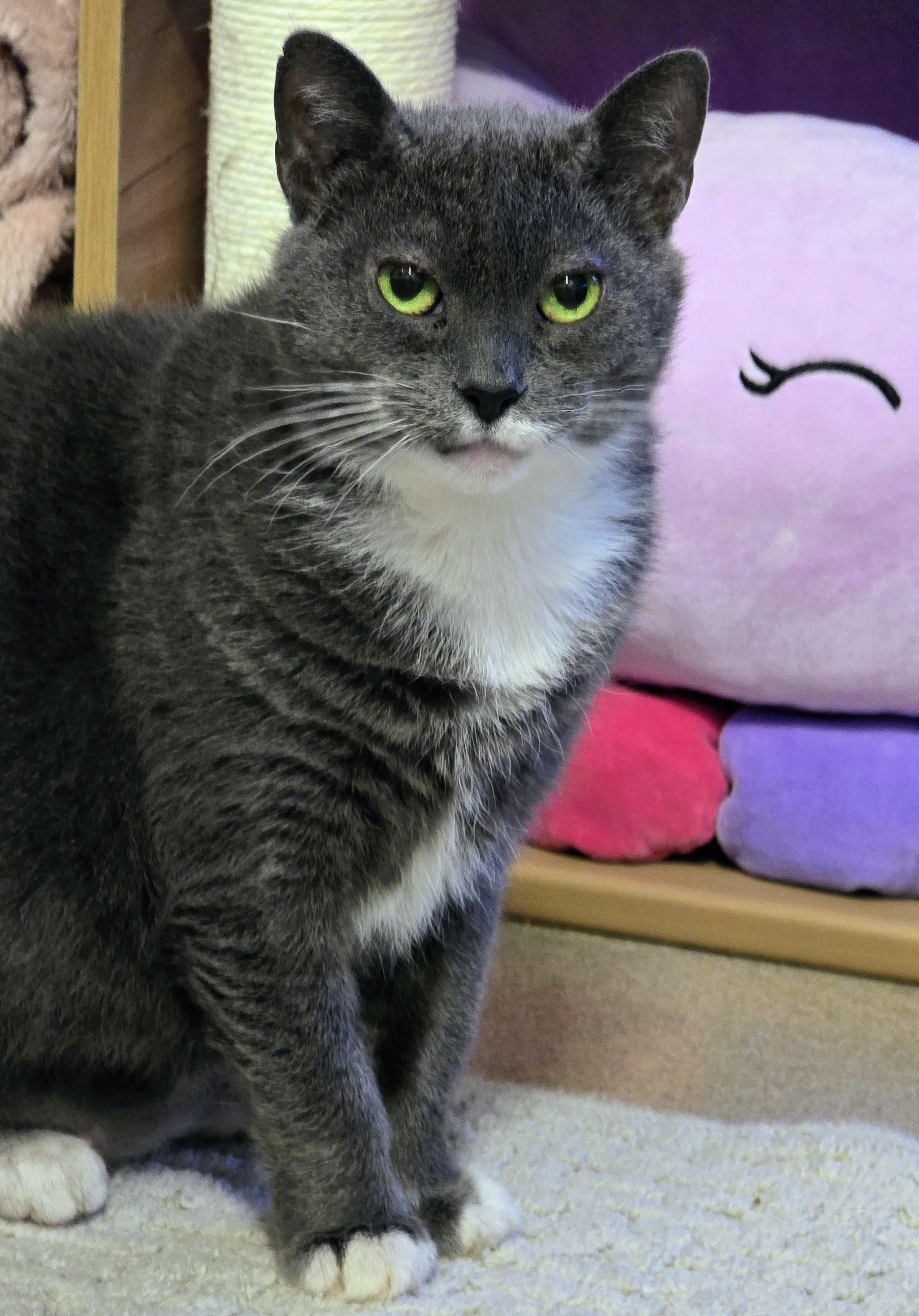 5-223 Mittens — thumbnail 6