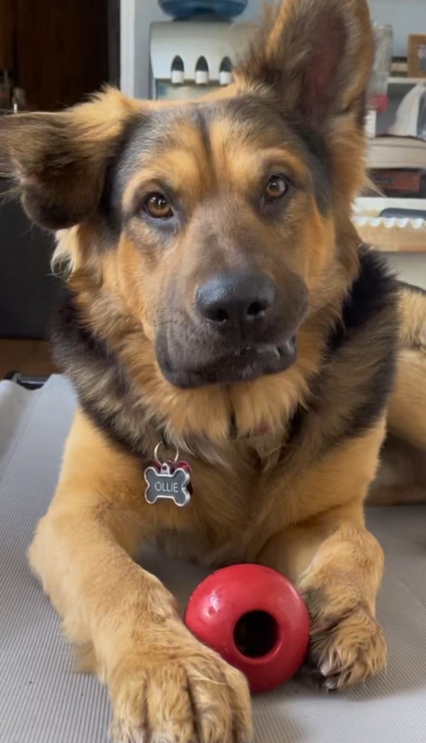 Jax