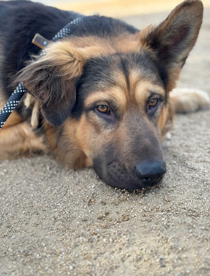 Jax photo 2
