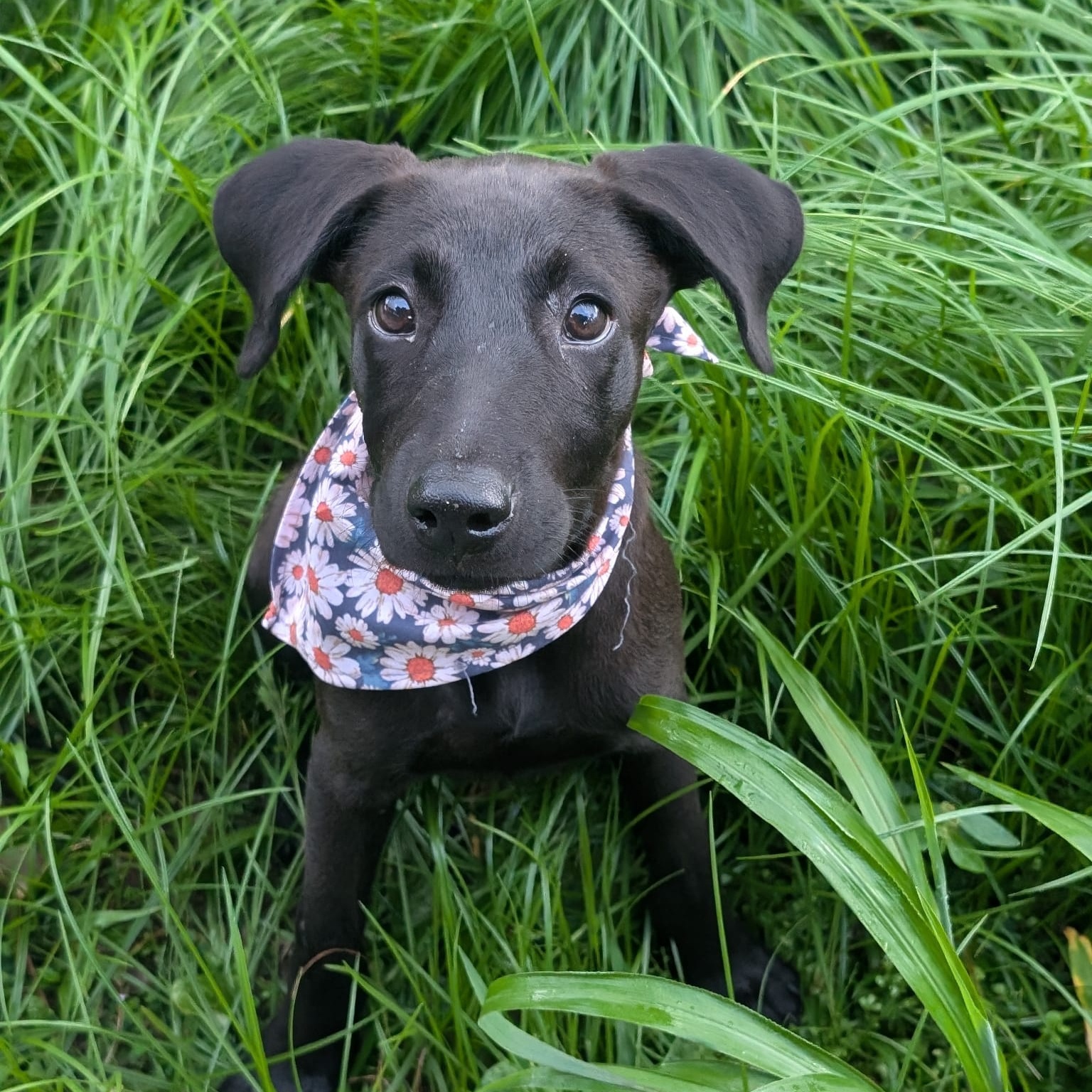 EEYORE - sweetest baby ever!