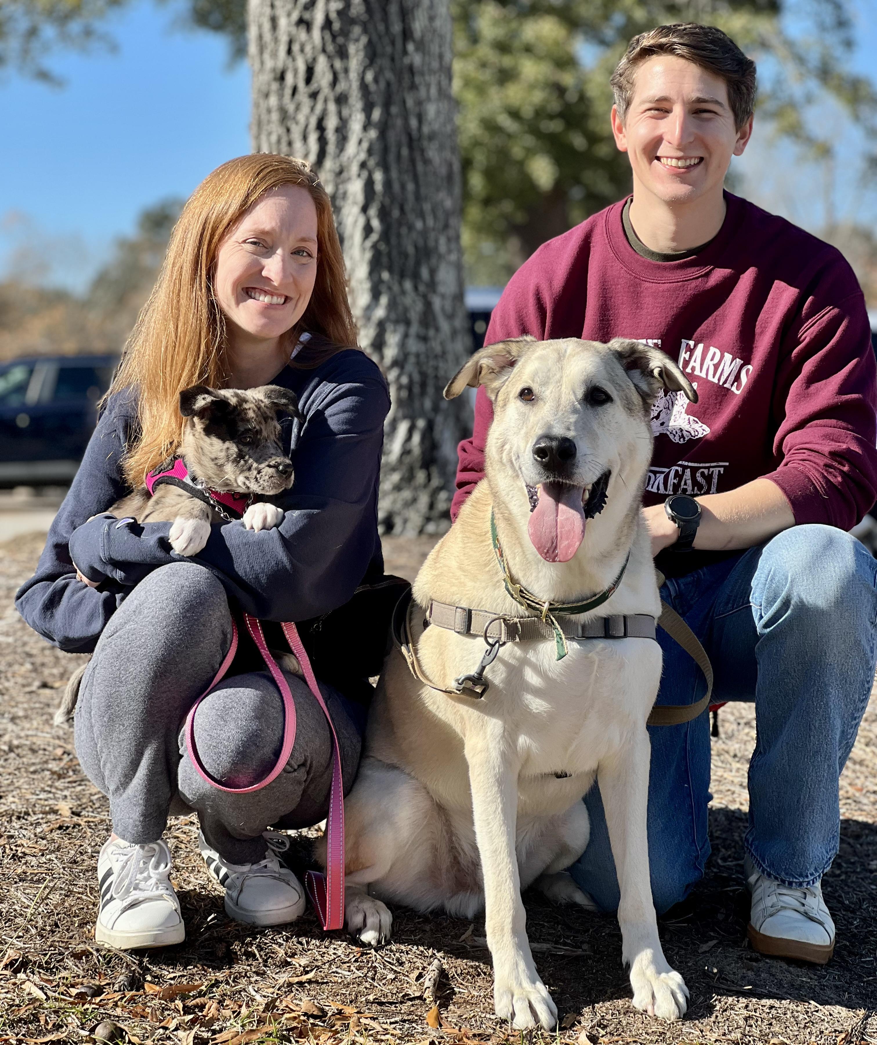 Enlarge Holly, an adopted mixed breed in Mt Pleasant, SC image 6/6