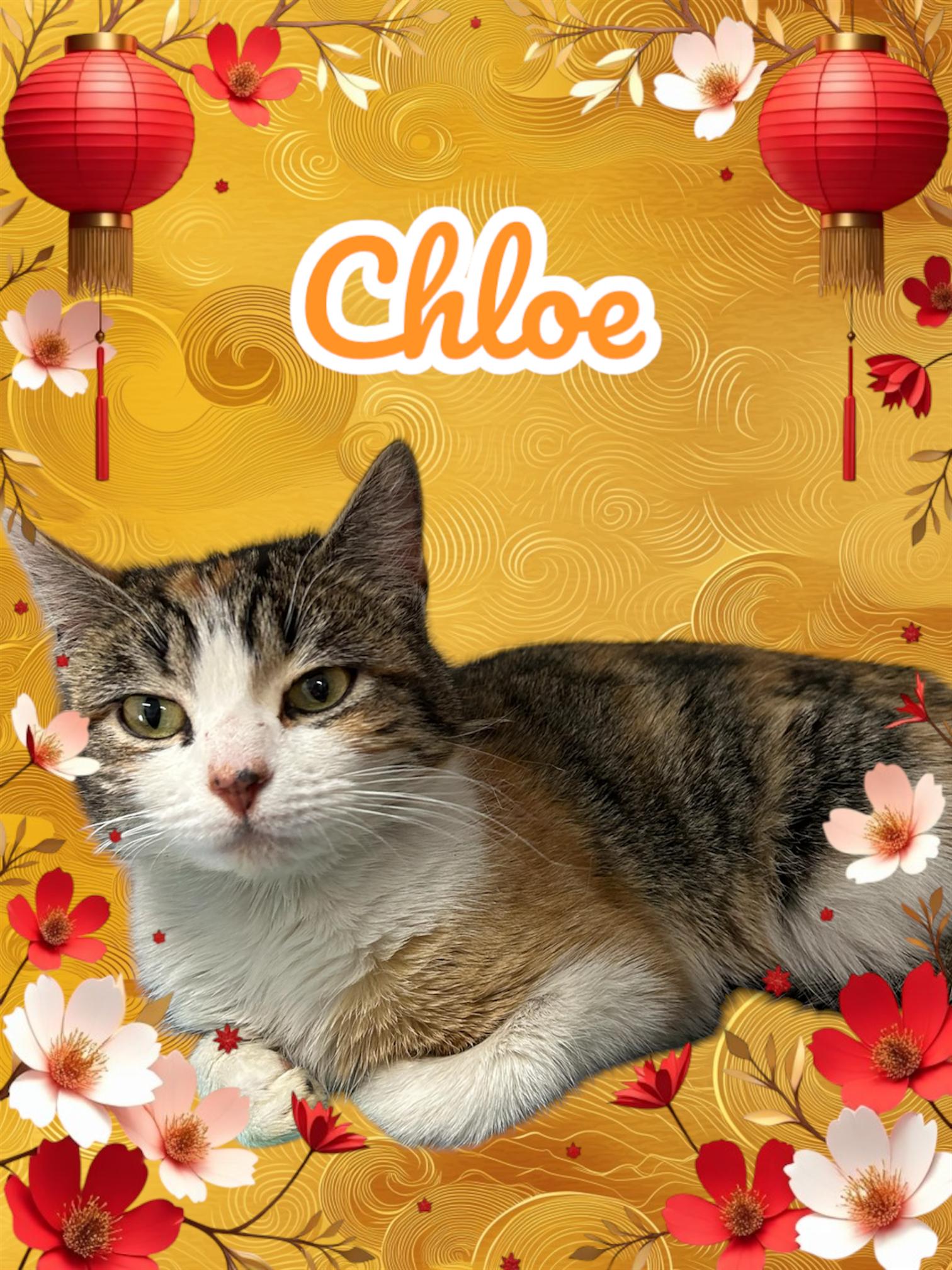 Chloe