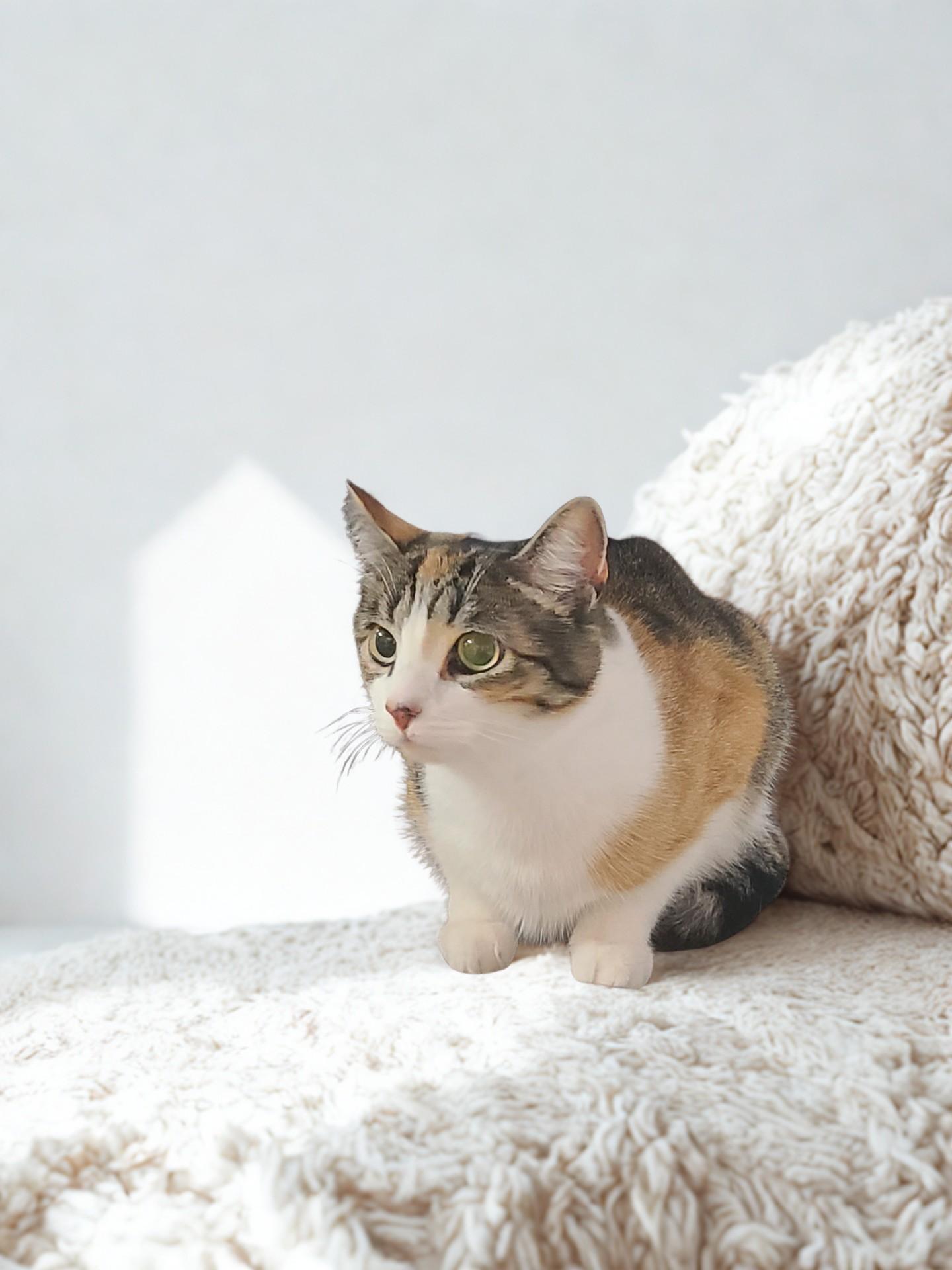 Chloe