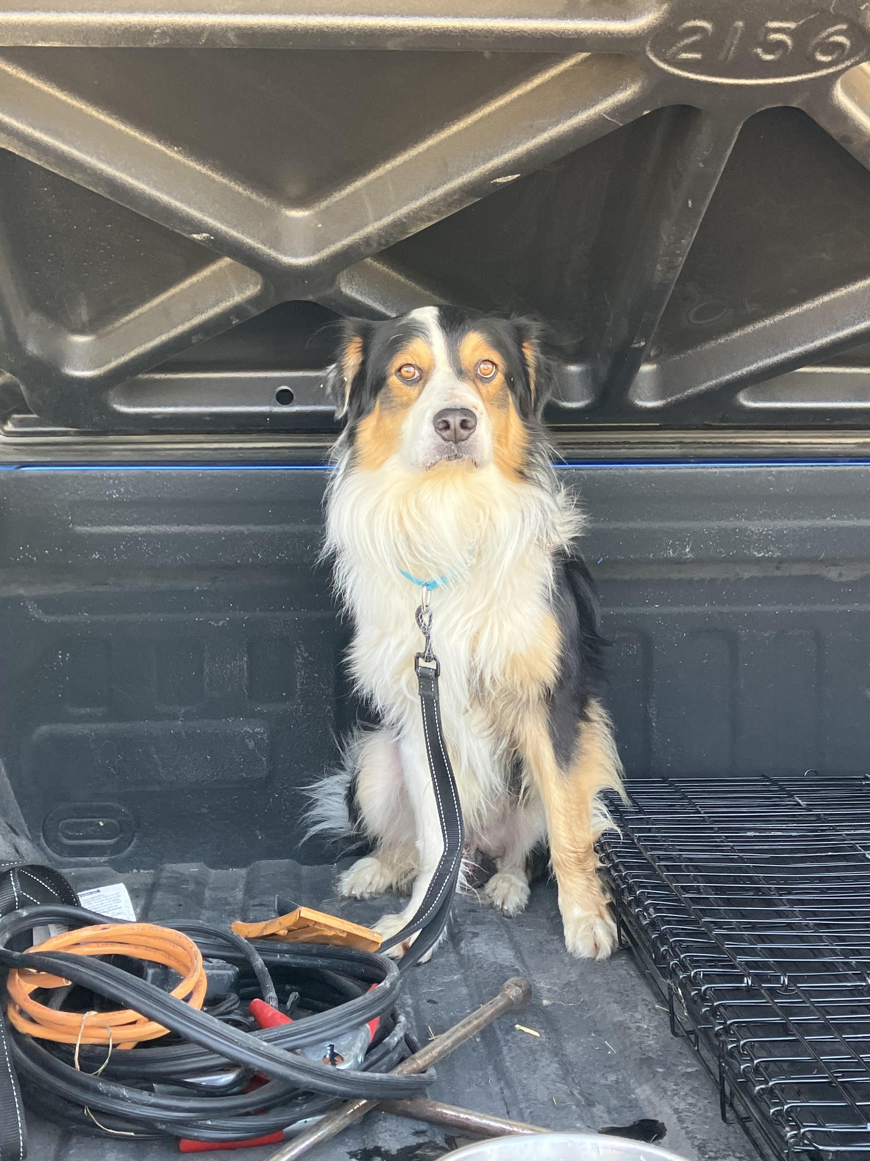 MAX-Beautiful Boy