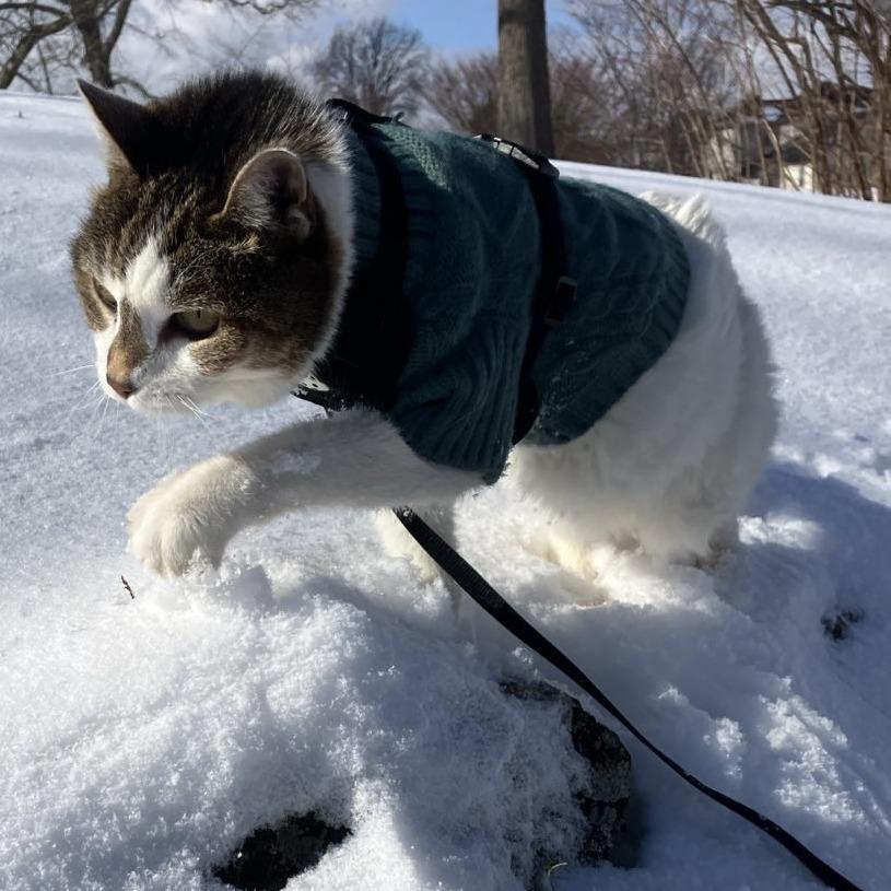 Irene — thumbnail 2