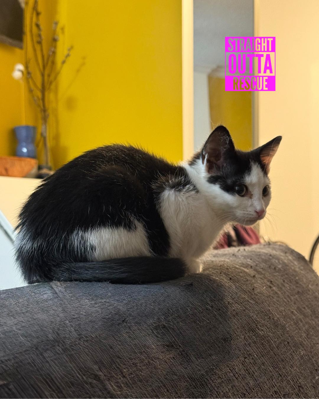 Nina — thumbnail 4