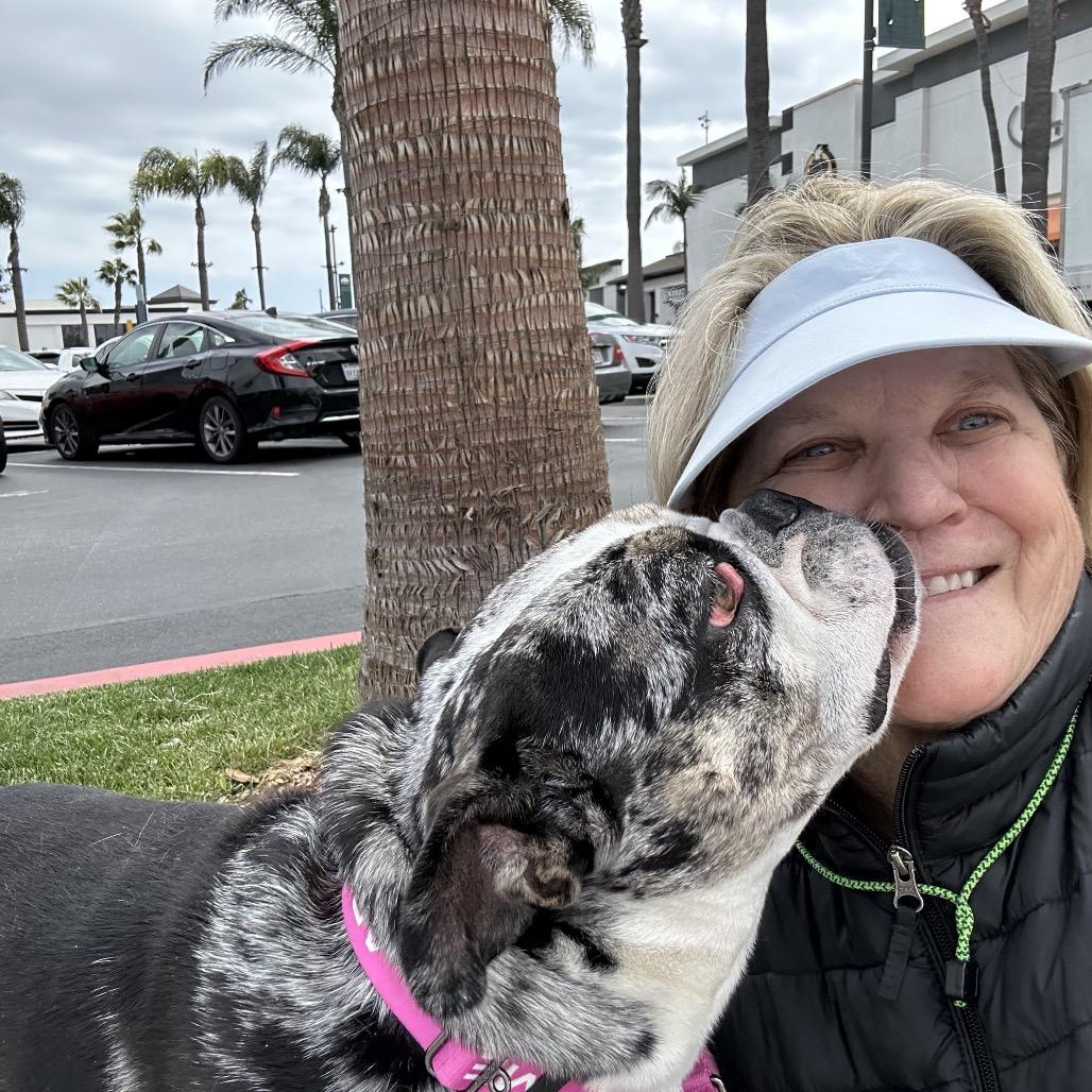 Enlarge Marla, a Adoptable English Bulldog in Long Beach, CA image 3/6