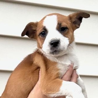 Bud Flora — thumbnail 2