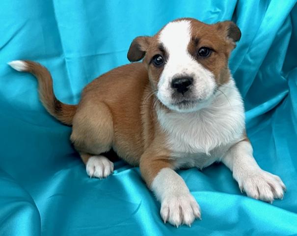 Bud Flora — thumbnail 4