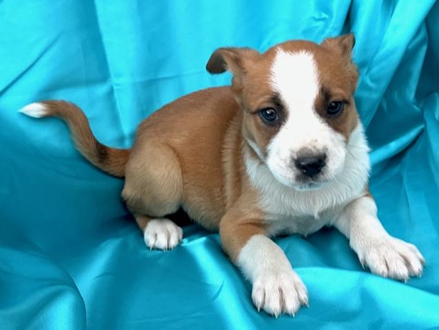 Bud Flora — thumbnail 5