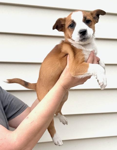 Bud Flora — thumbnail 6