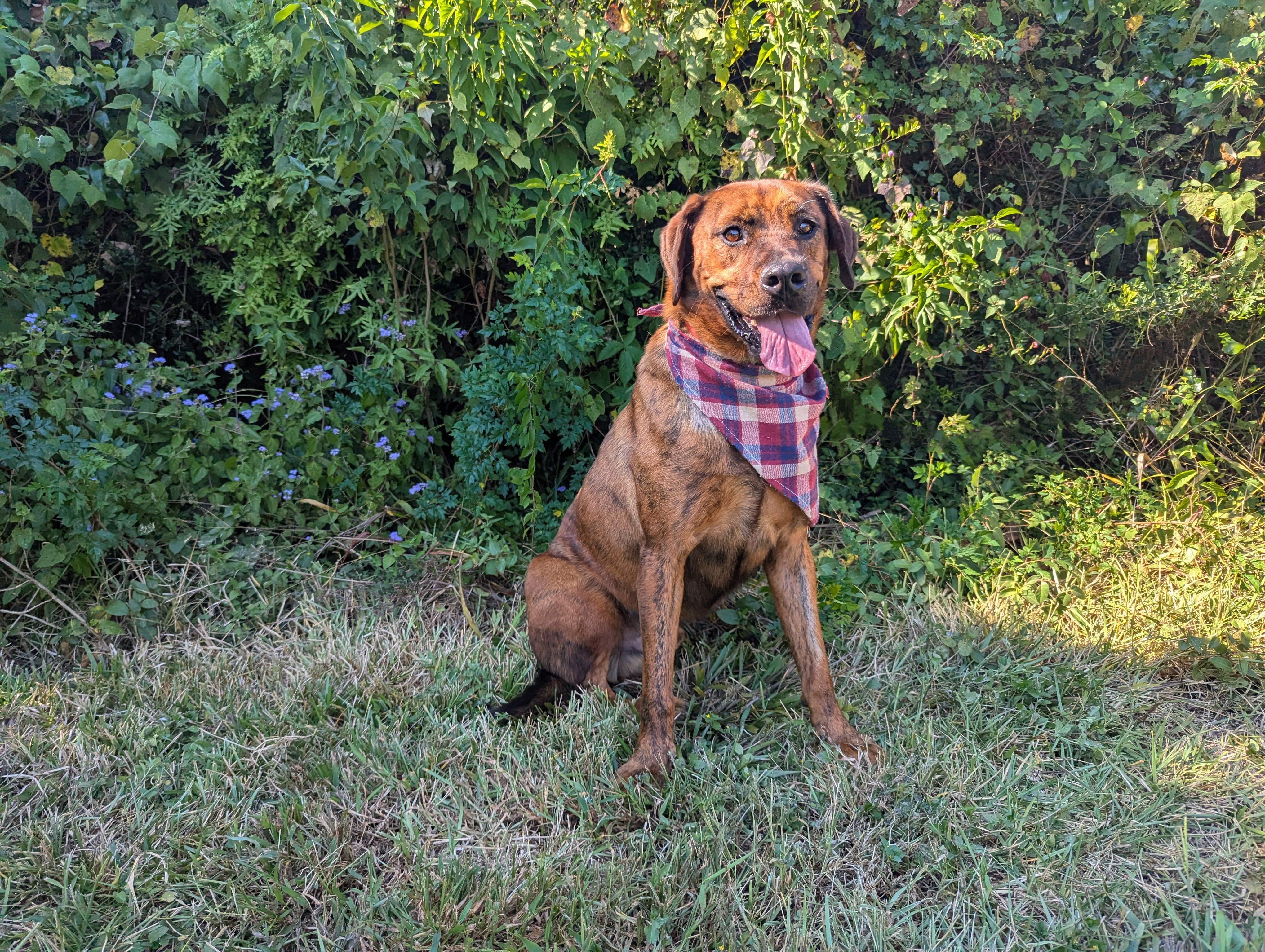 Meka and Kalena — thumbnail 2