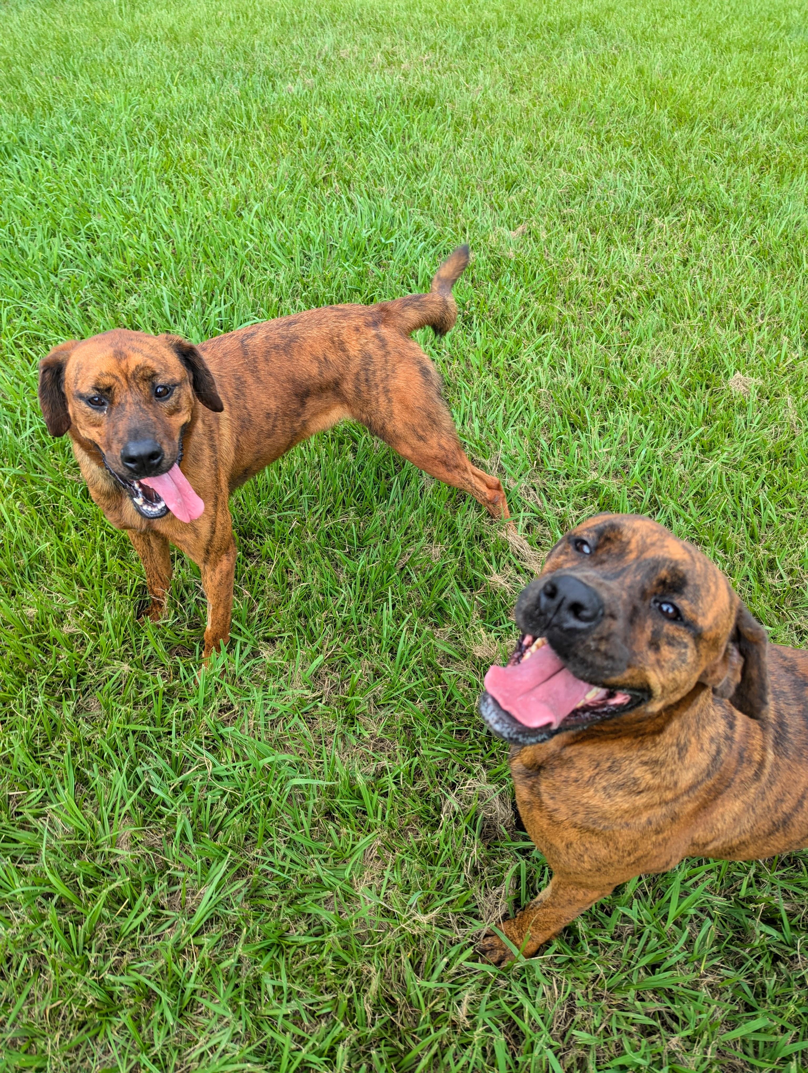 Meka and Kalena — thumbnail 3