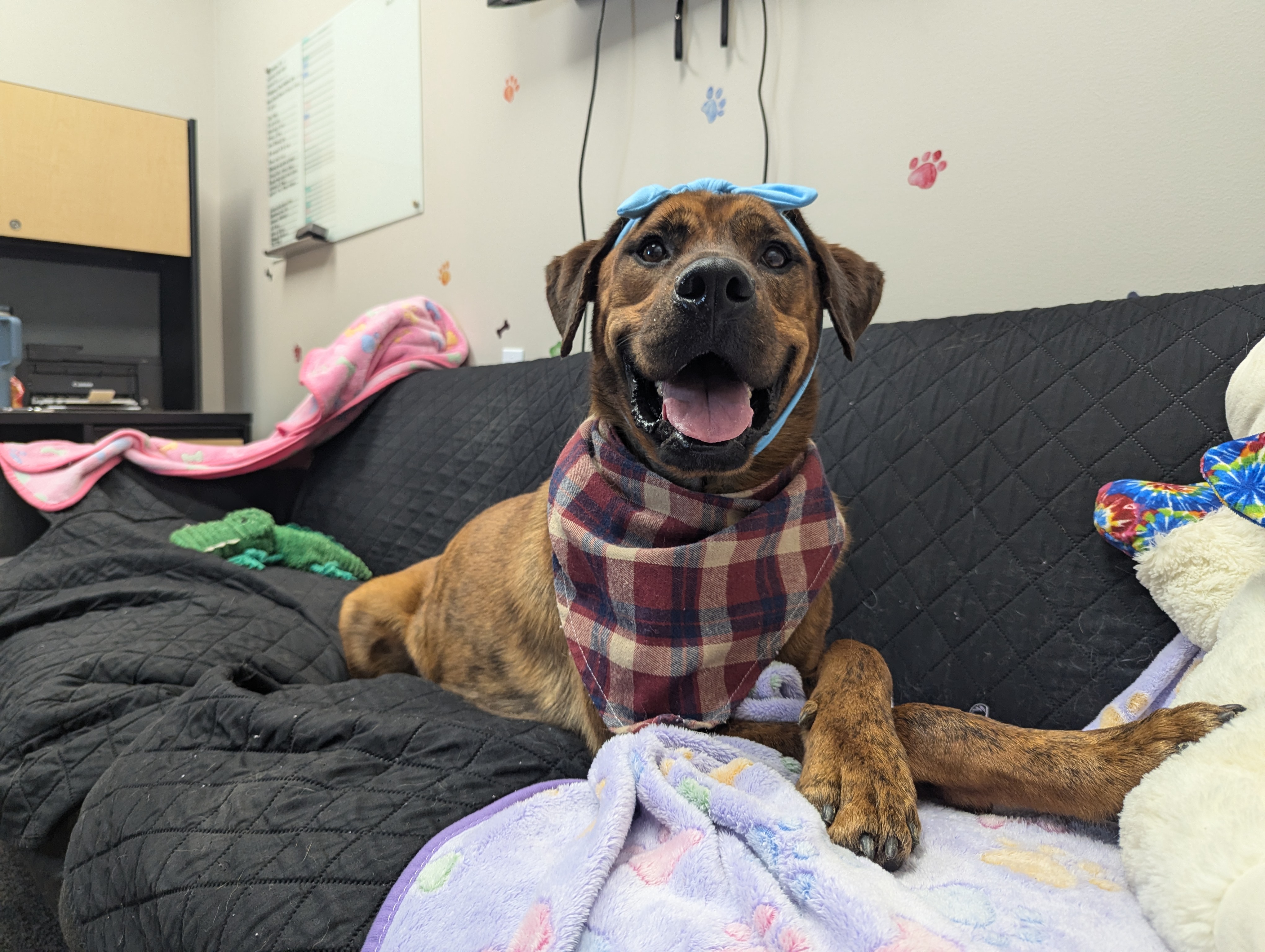 Meka and Kalena — thumbnail 4