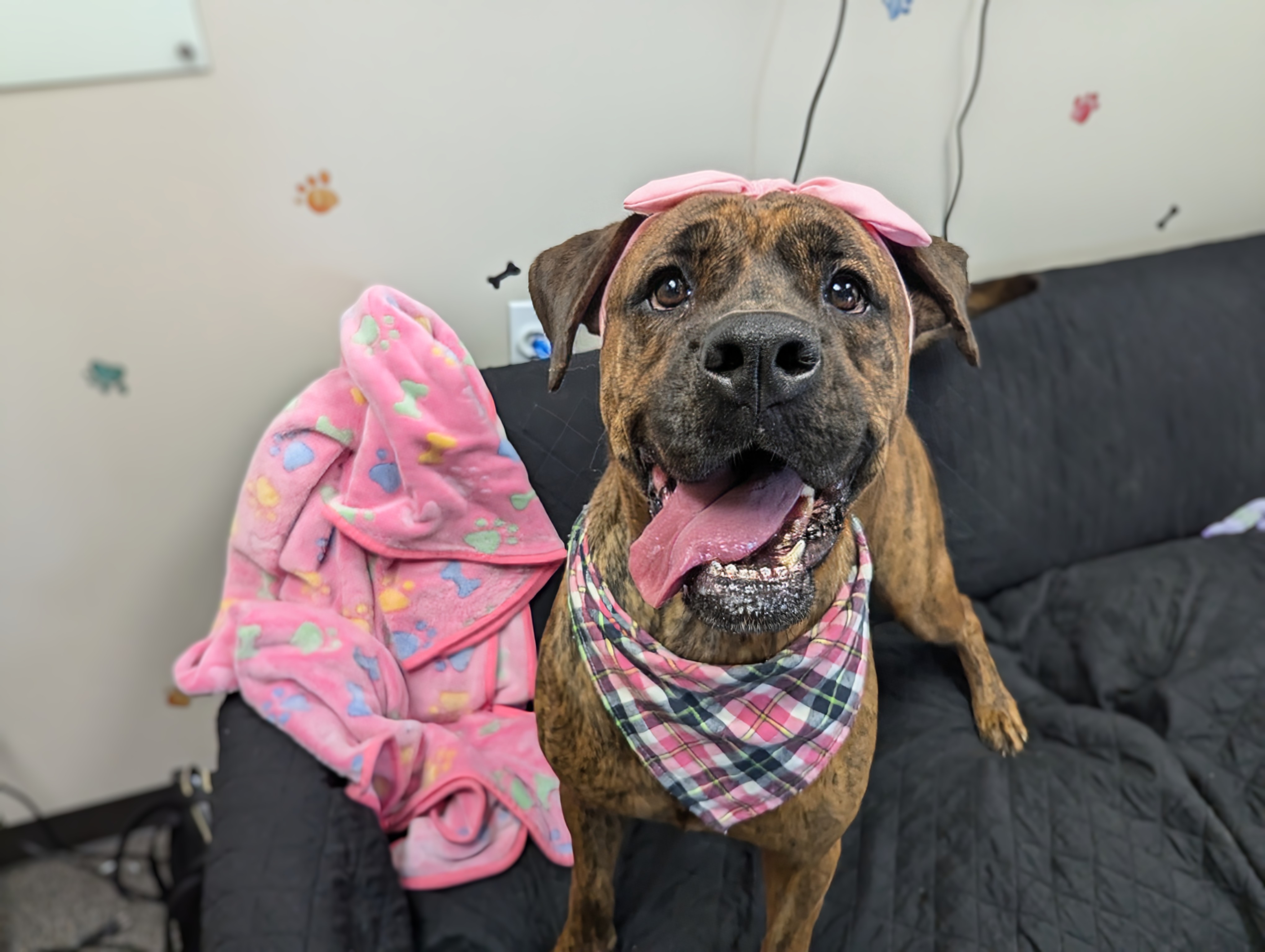 Meka and Kalena — thumbnail 5