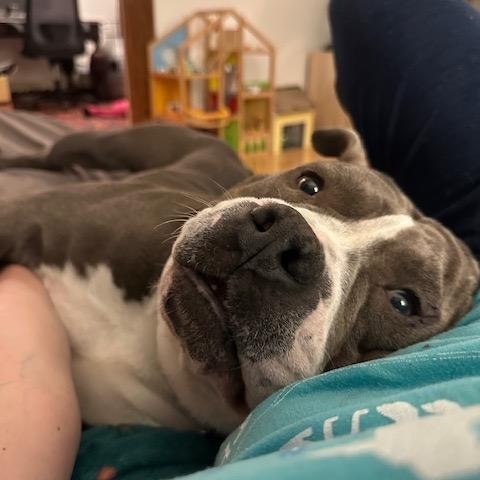 Farley