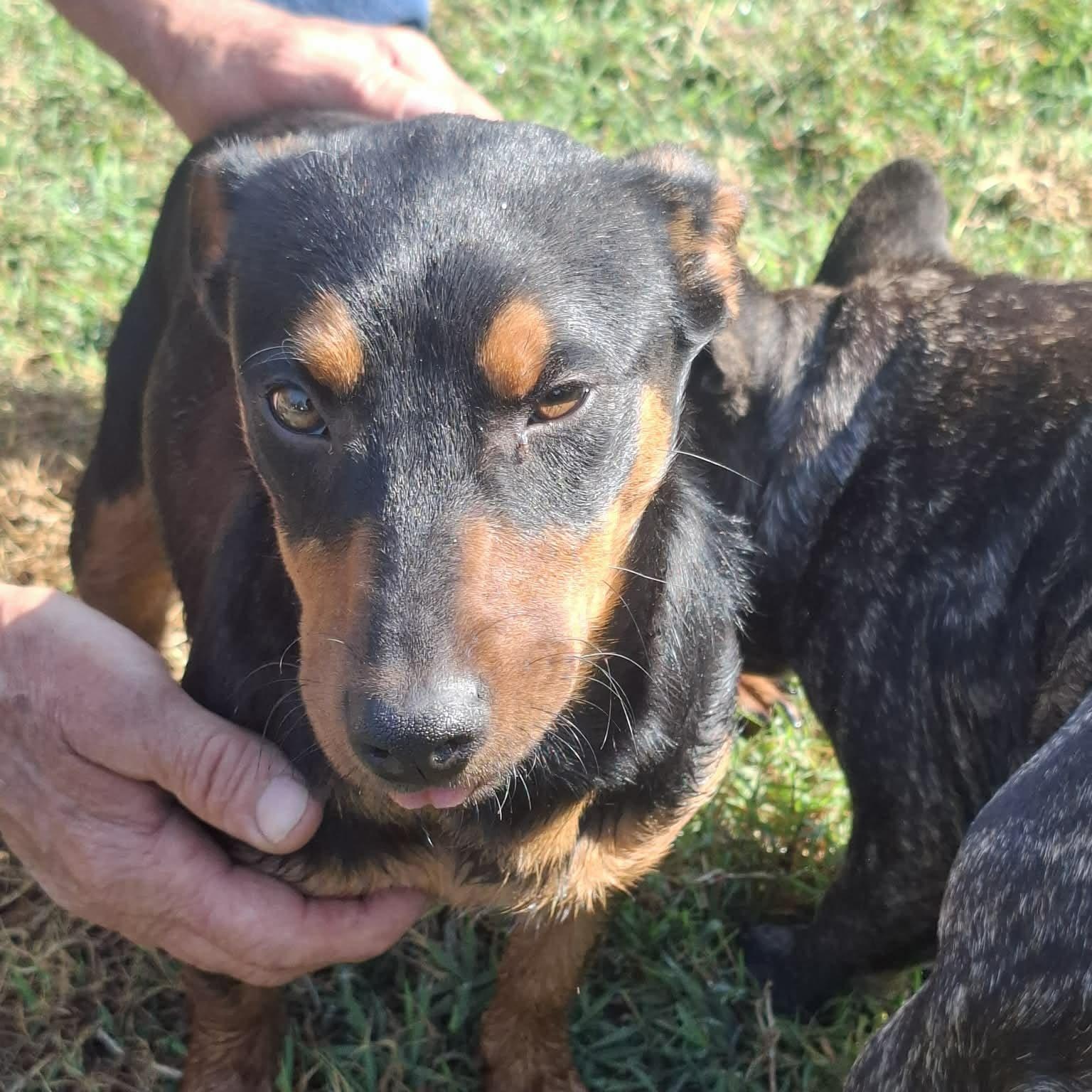 Vivi — thumbnail 3