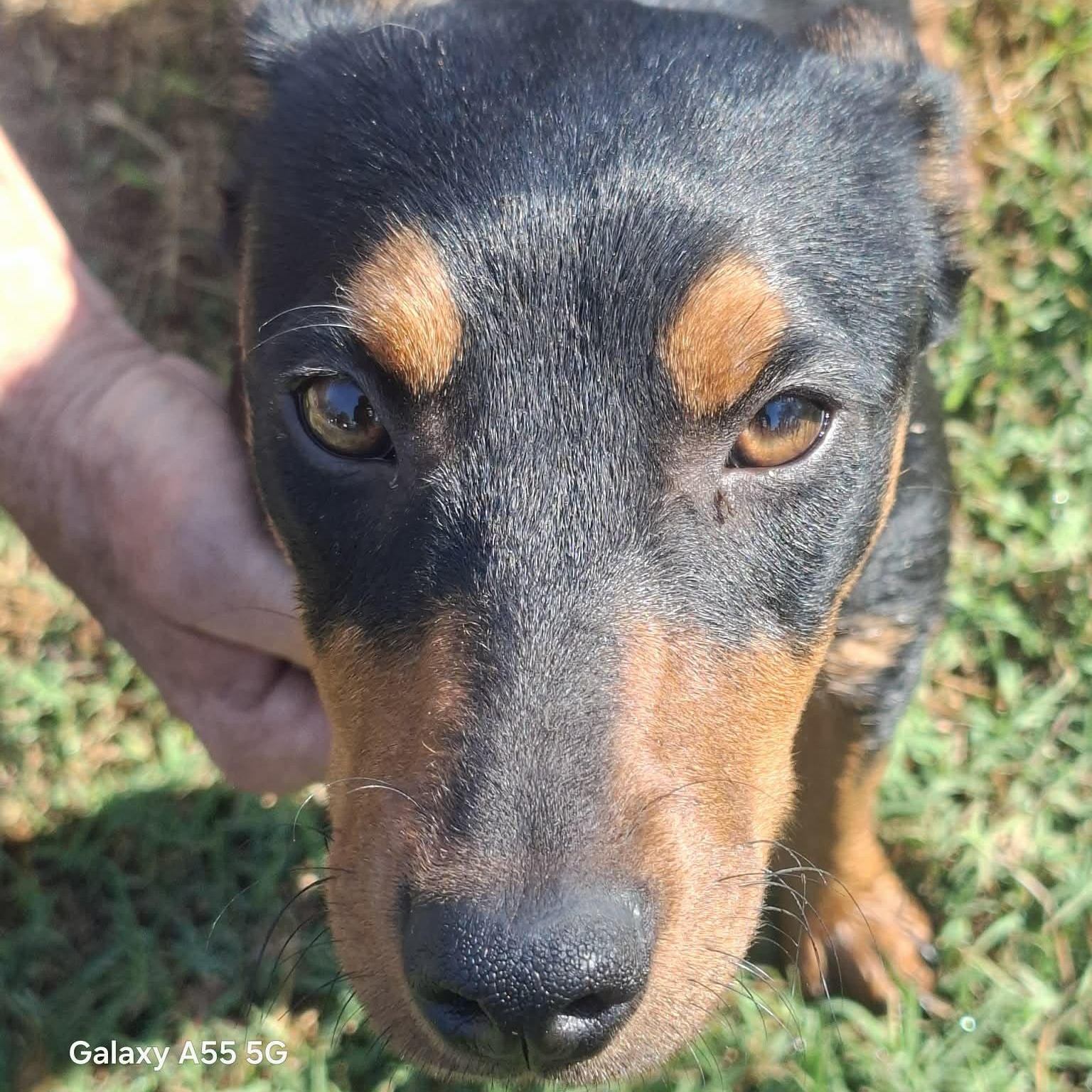 Vivi — thumbnail 4