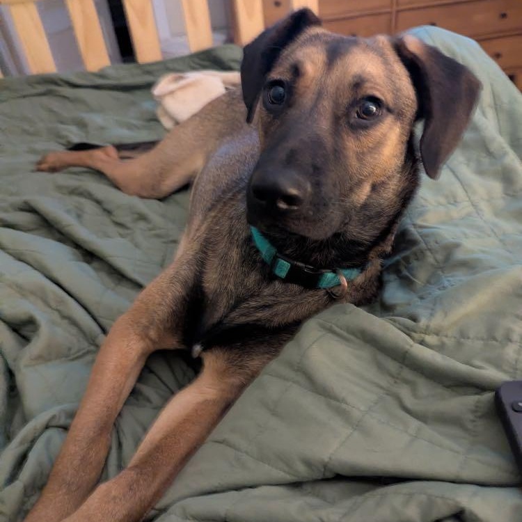 Walter photo 1
