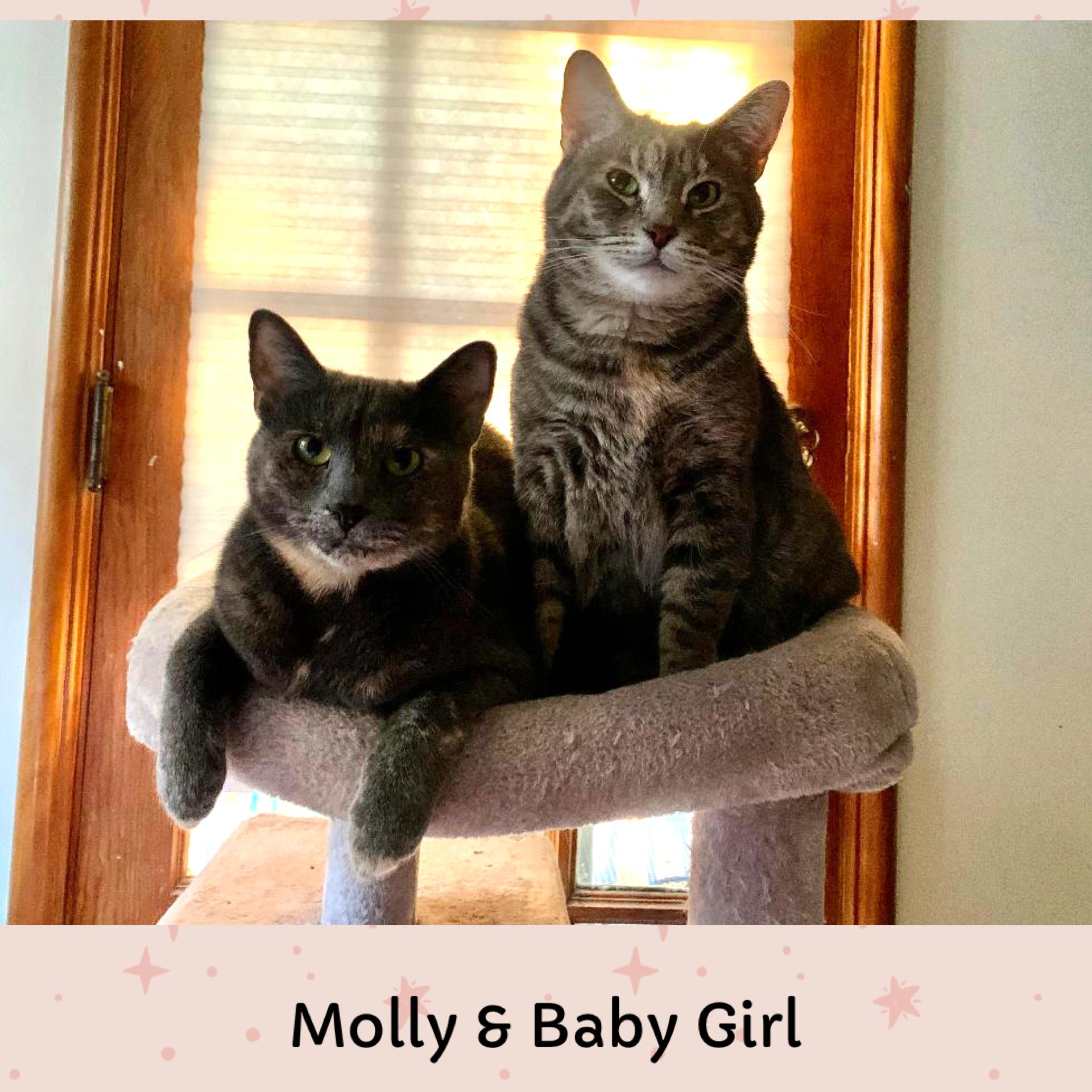 Baby Girl & Molly