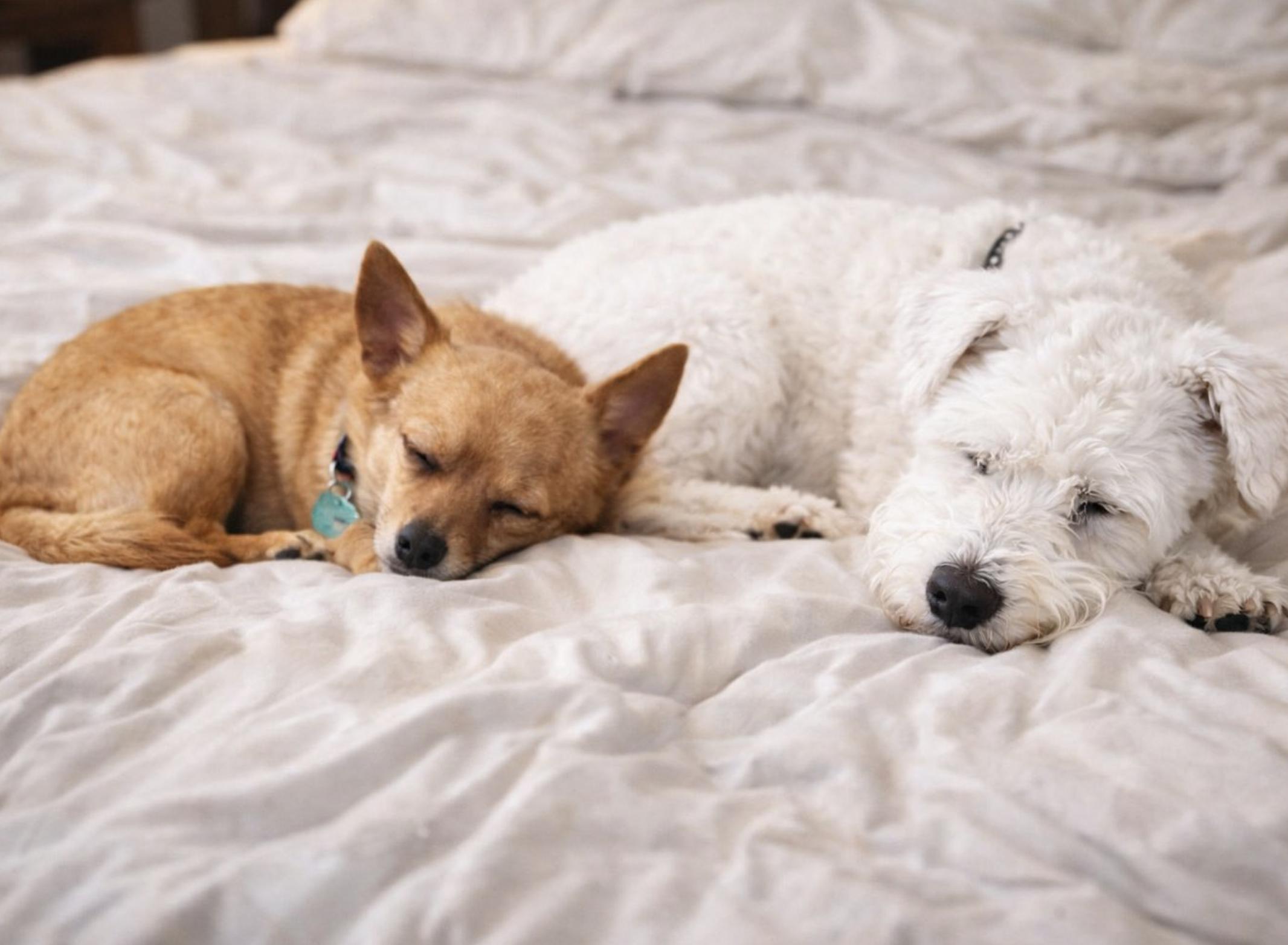 Jack & Rose — thumbnail 2