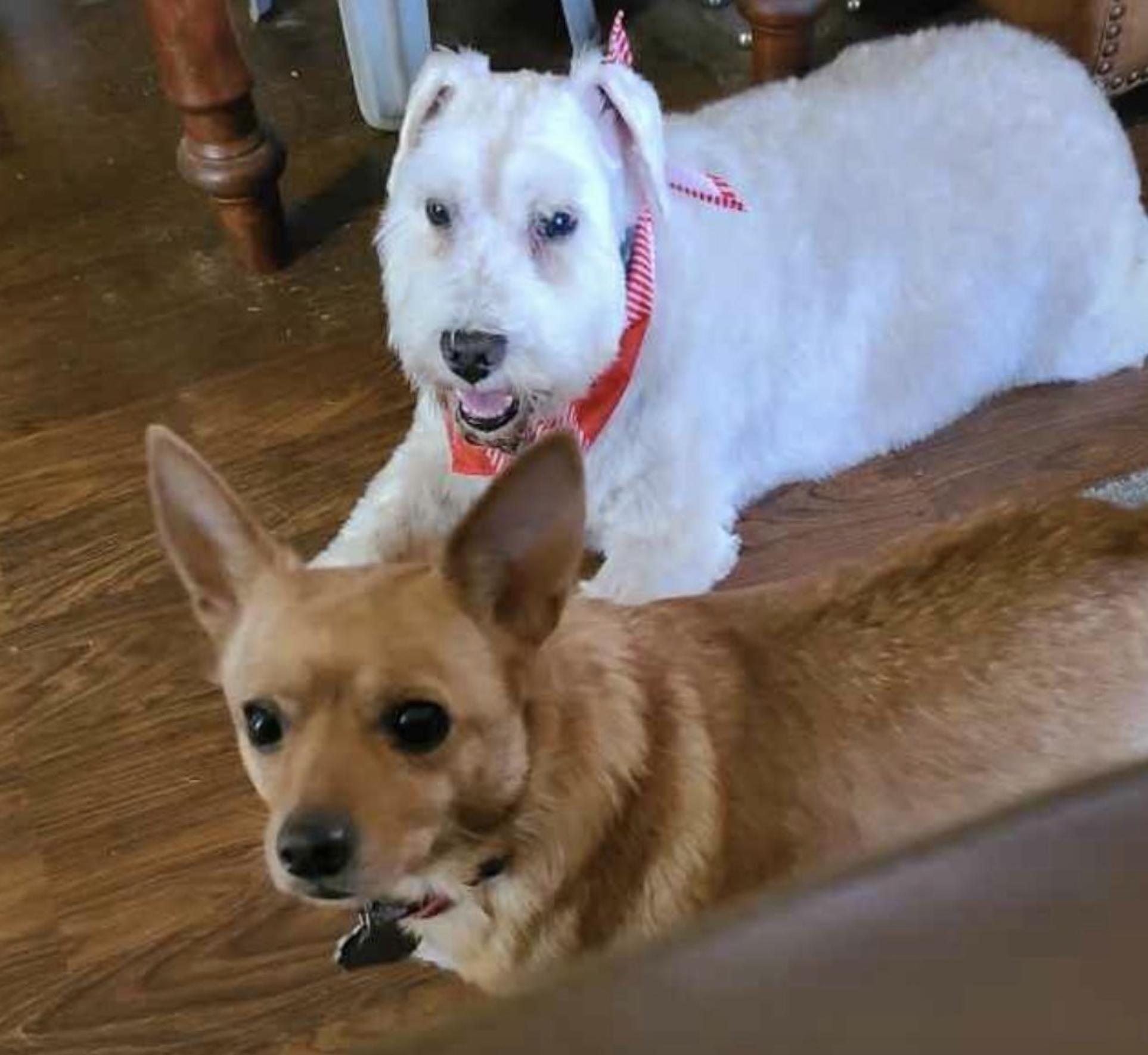 Jack & Rose — thumbnail 4