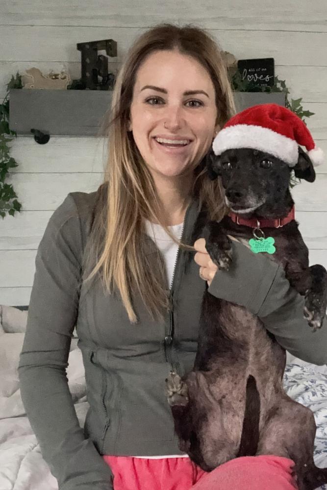 Molly, Adoptable, Senior Female Dachshund.