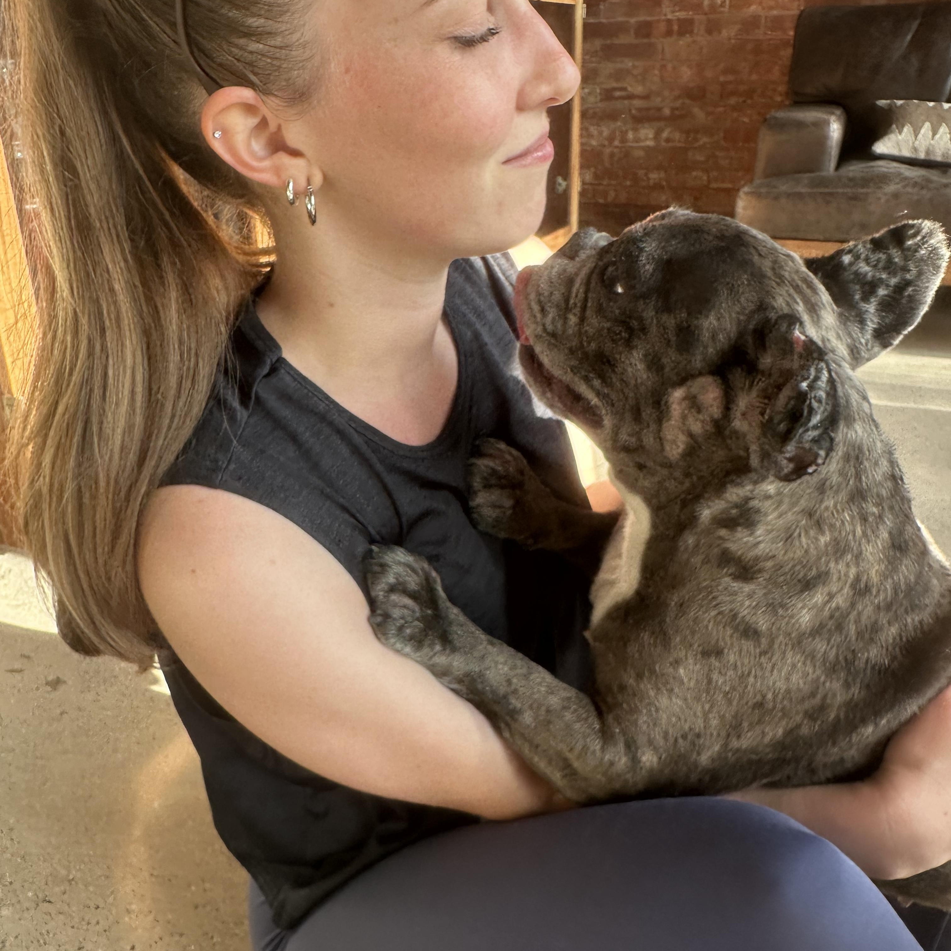Cora, a ADOPTABLE French Bulldog in Stamford, CT image 4/6