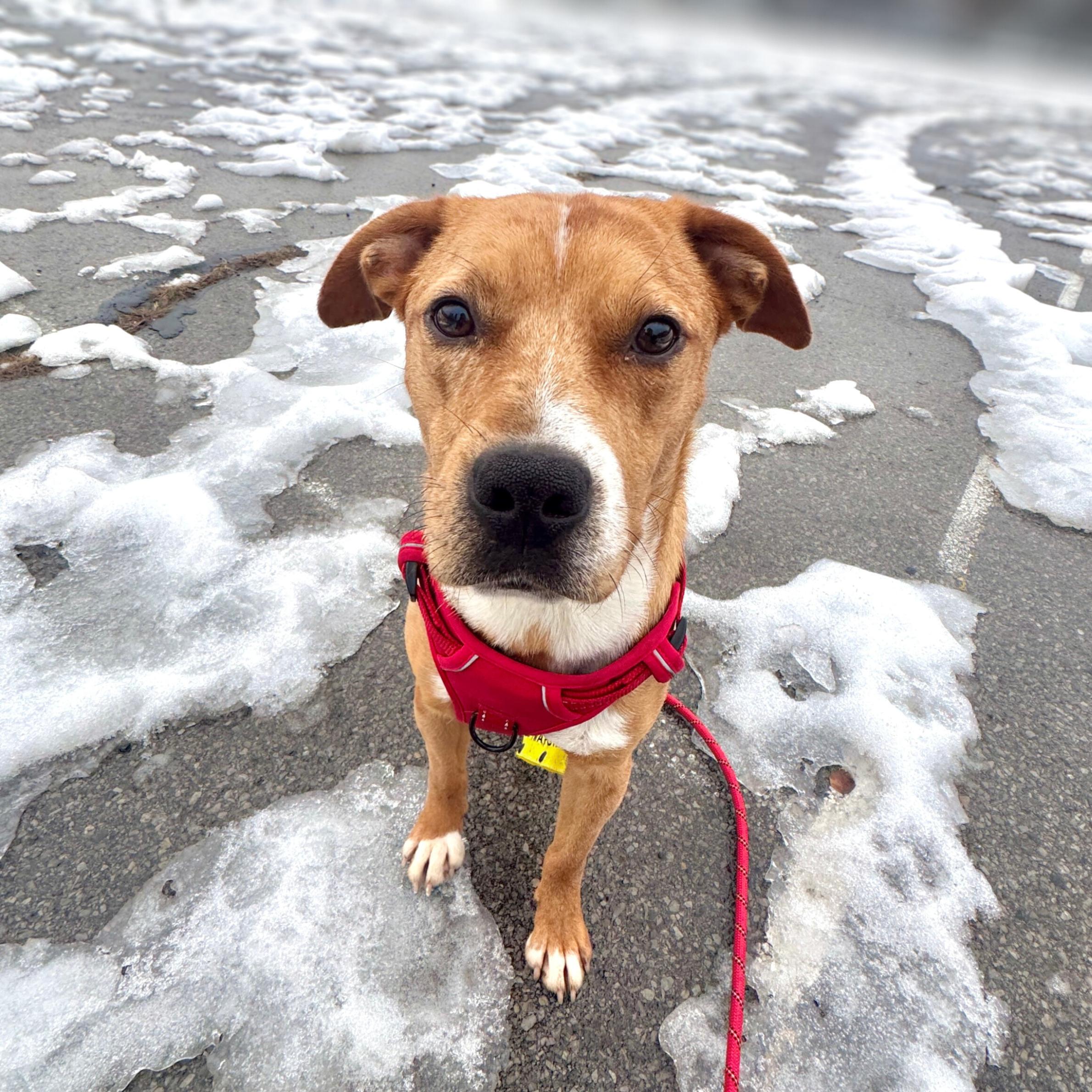 Spandex — thumbnail 5