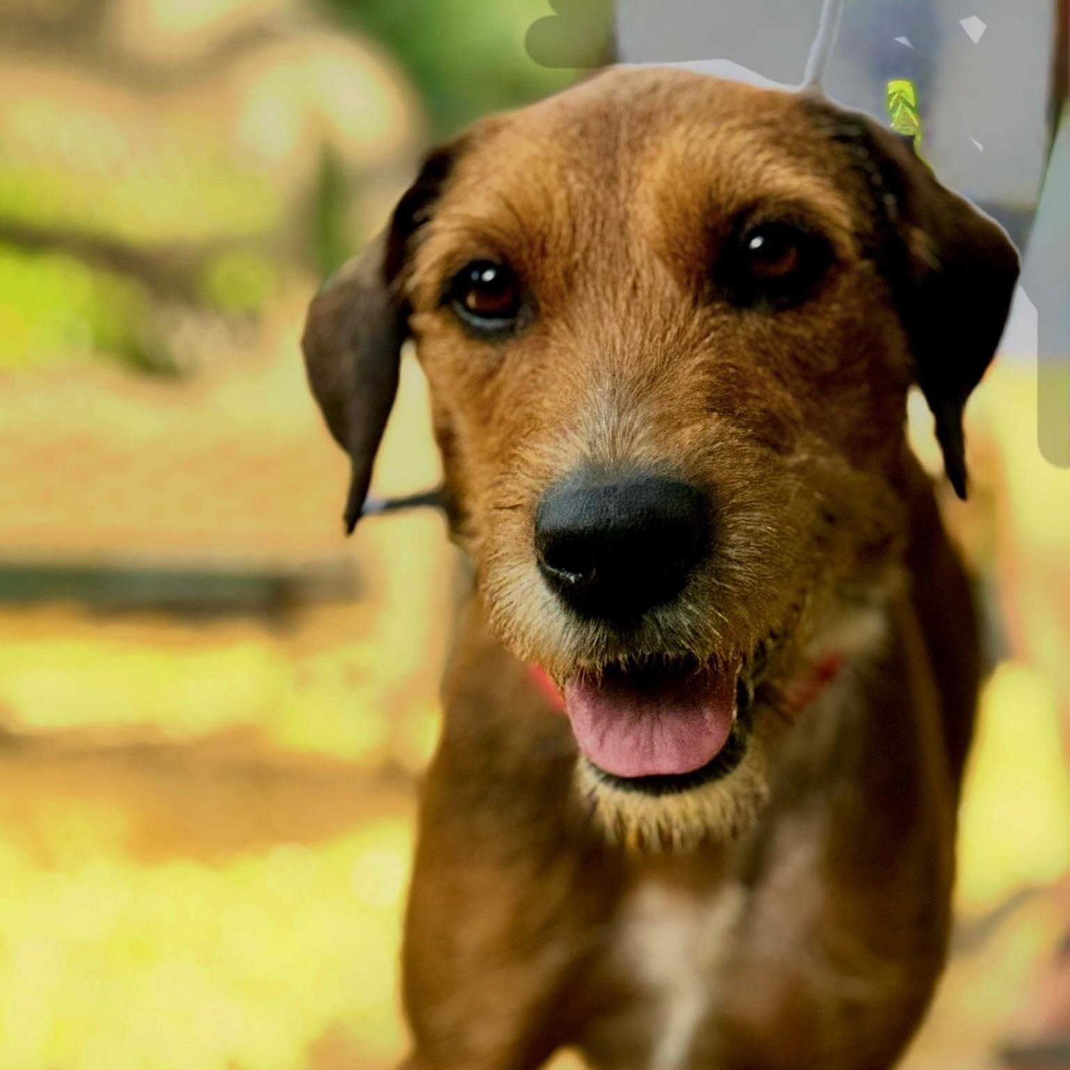 Harper- beautiful momma