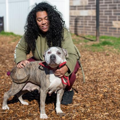 Joella - IN FOSTER, Adoptable, Adult Female Mixed Breed & Mixed Breed.