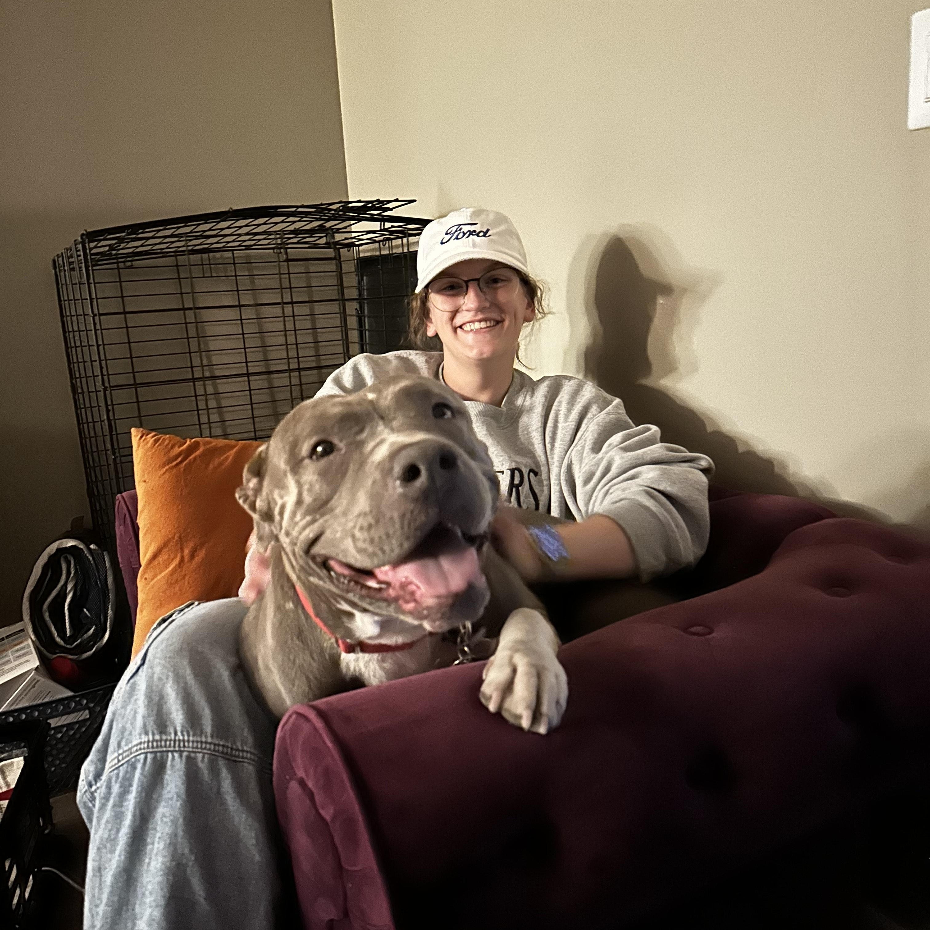 Enlarge Goose, a Adoptable mixed breed in Gilbert, AZ image 6/6