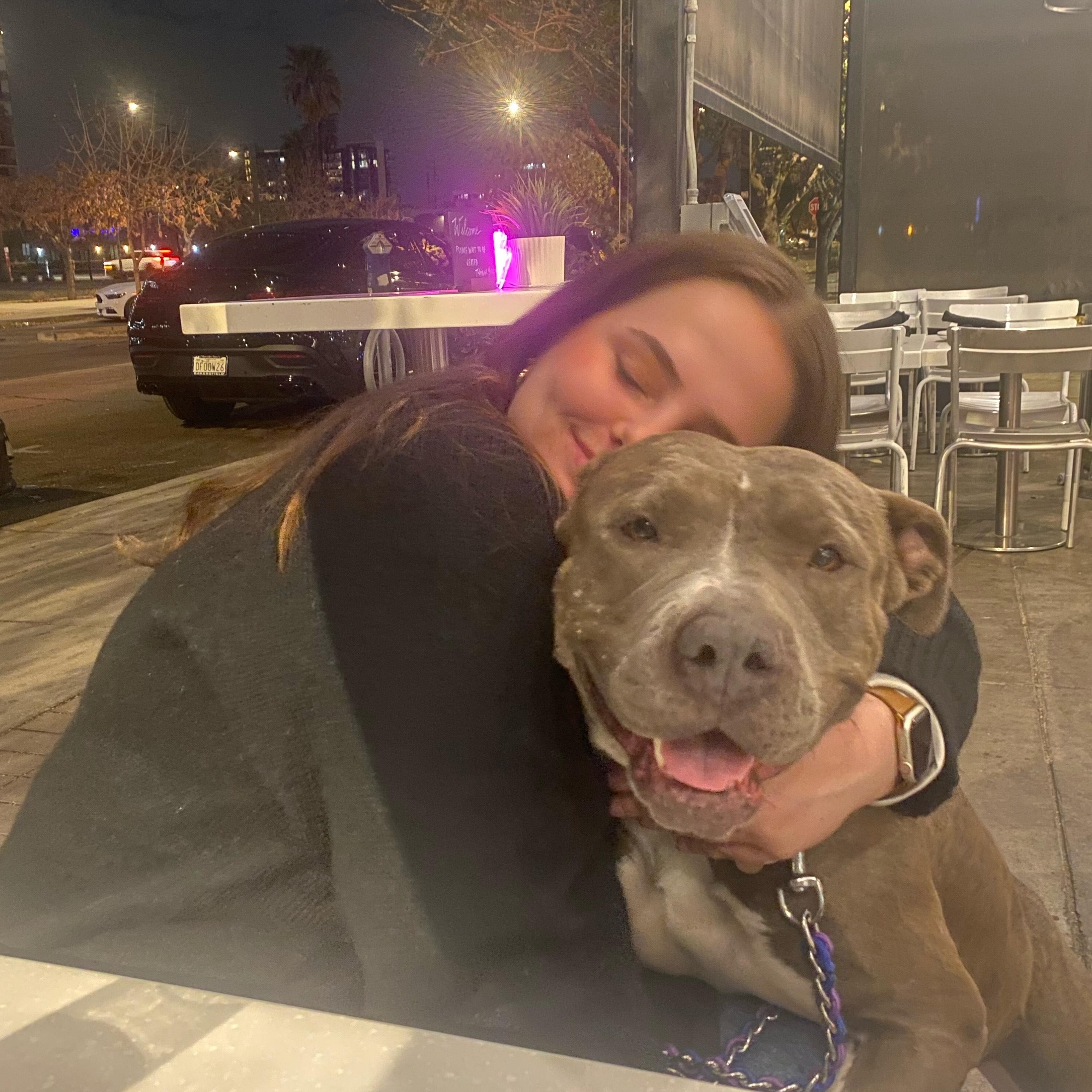 Enlarge Goose, a Adoptable mixed breed in Gilbert, AZ image 3/6