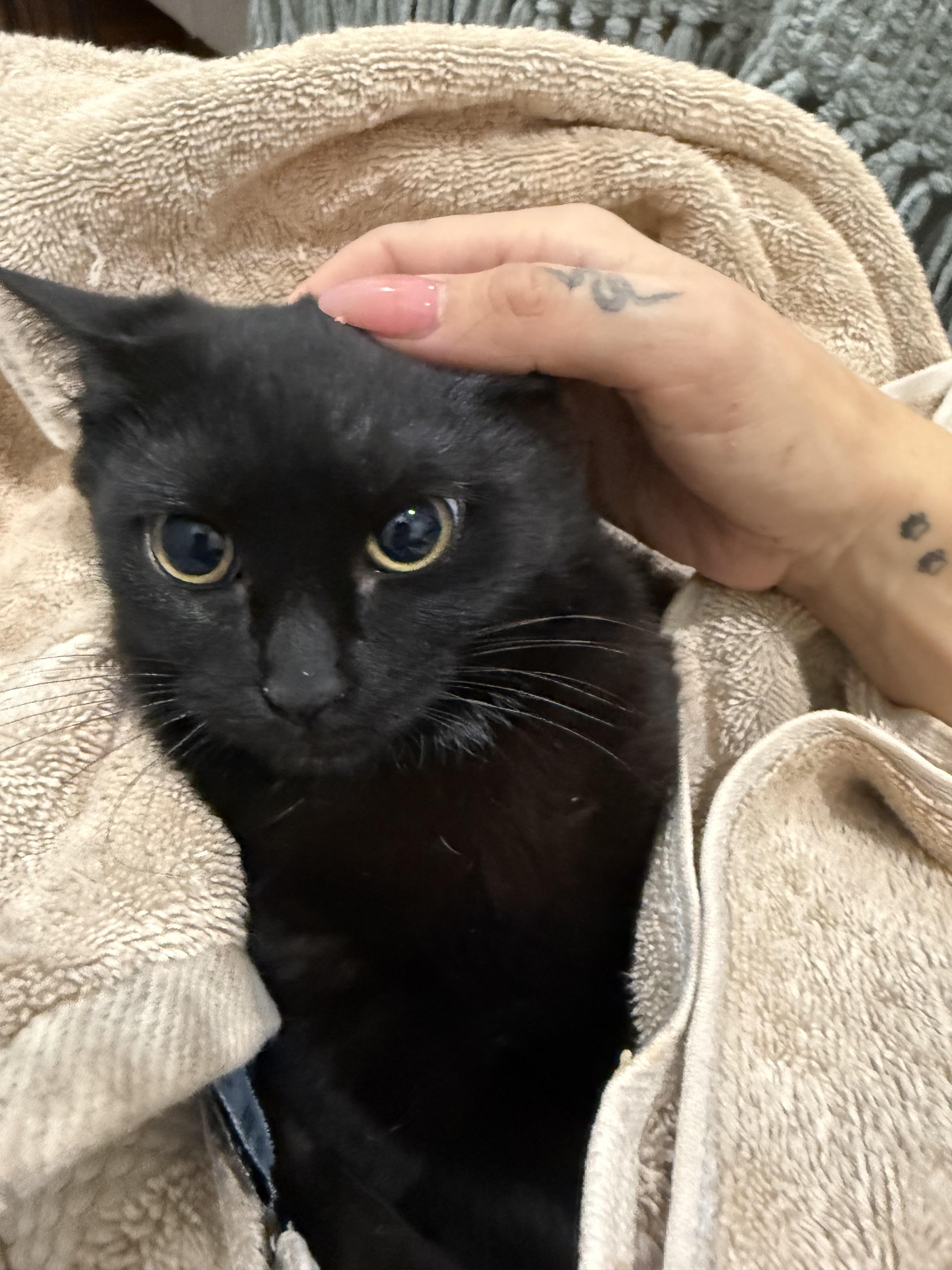 Skip — thumbnail 2